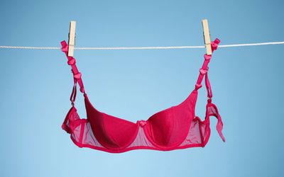 sexy bra